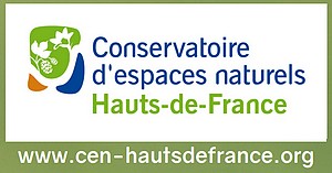 SORTIE NATURE : Fêtons les mares !