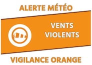 VIGILANCE ORANGE VENT